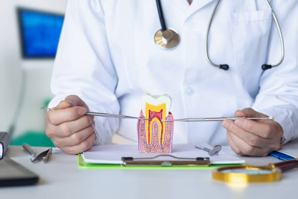 Emergency Dentist Open Today in AK